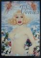 2001 flyer soirée de lancement du Venus magazine, NYC