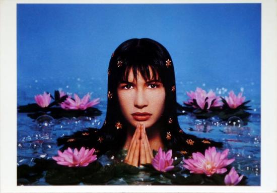 1987 cp 'Nirvana' Tess, New York