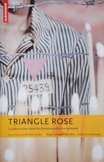 2011 Régis Schlagdnhauffen: Le triangle rose